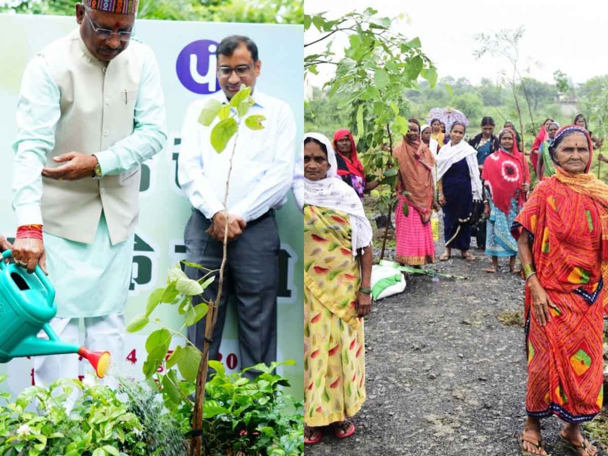 विशेष लेख : आइए इस हरेली धरती माँ का श्रृंगार करें, एक पेड़ मां के नाम लगाएं