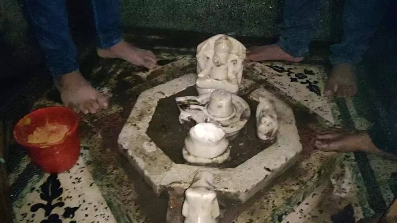 Another ‘50-year-old’ abandoned temple found in UP’s Aligarh