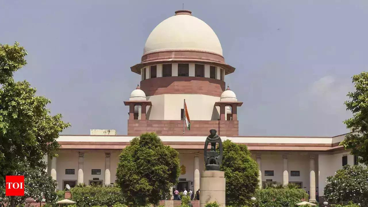 Director not liable if company cheque dishonoured: SC