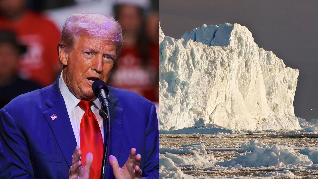 ‘Absolute necessity’: Why Trump wants to buy Greenland