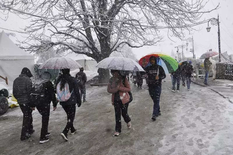 Snow paints Shimla white ahead of Christmas