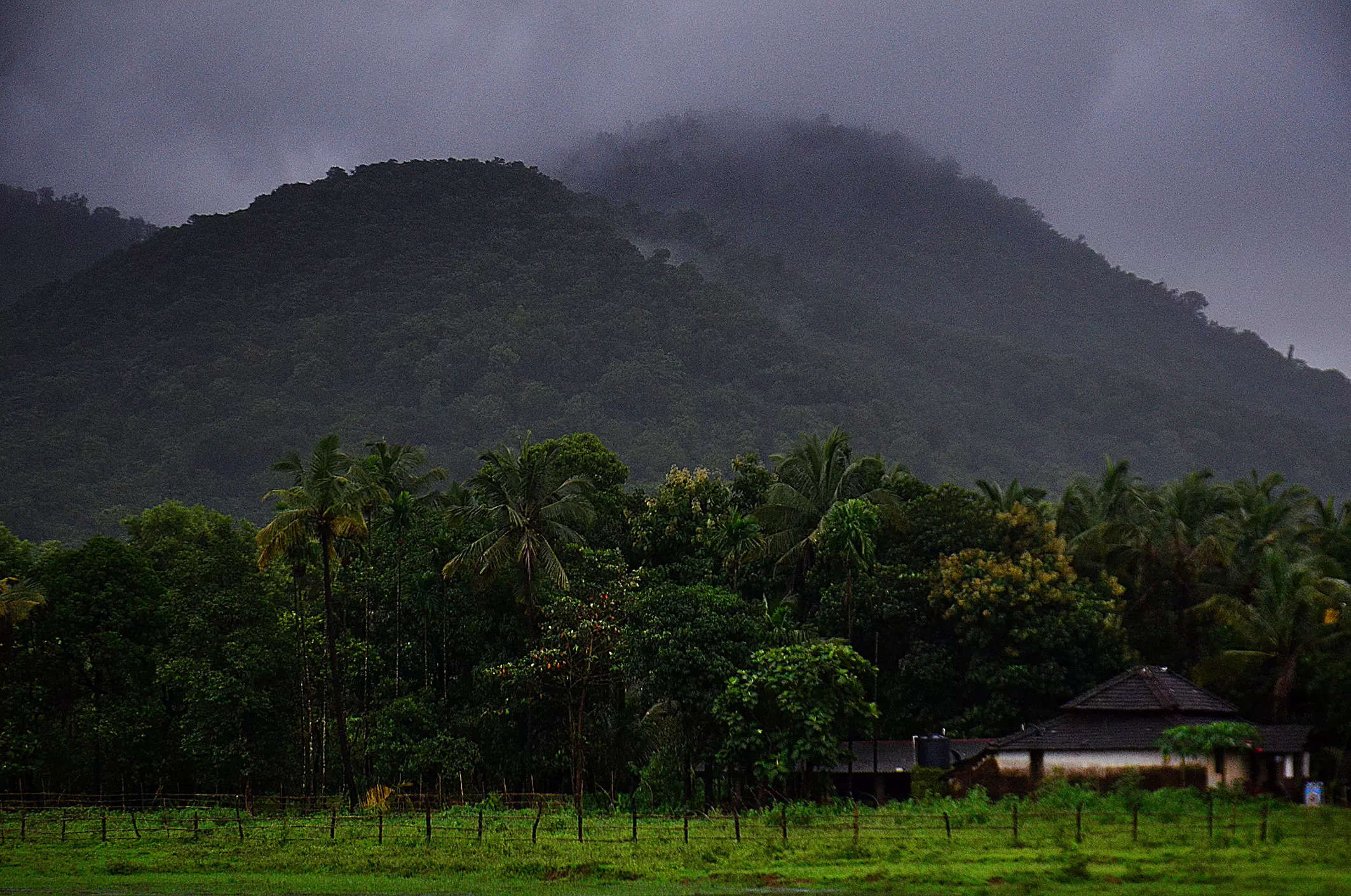 Forest loss in Karnataka’s Western Ghats region alarming: Report