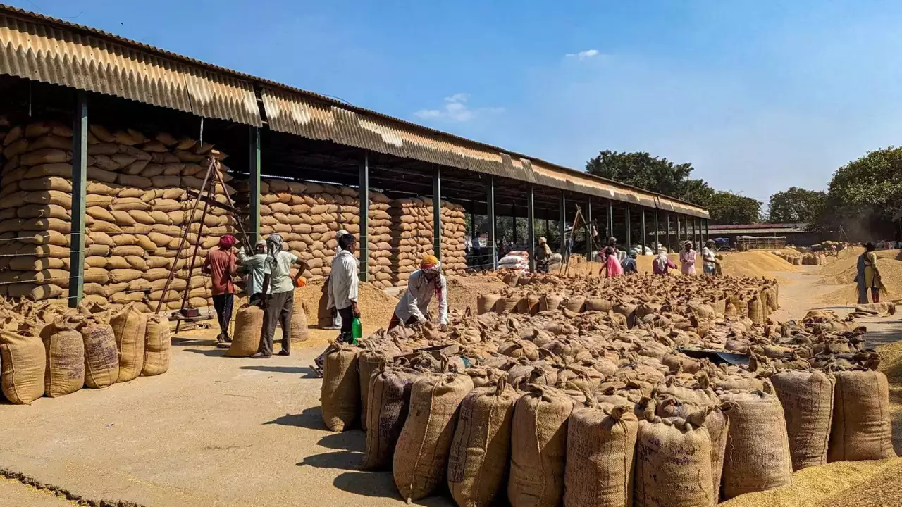 Rice shipment from India, first for Yunus government, to arrive today