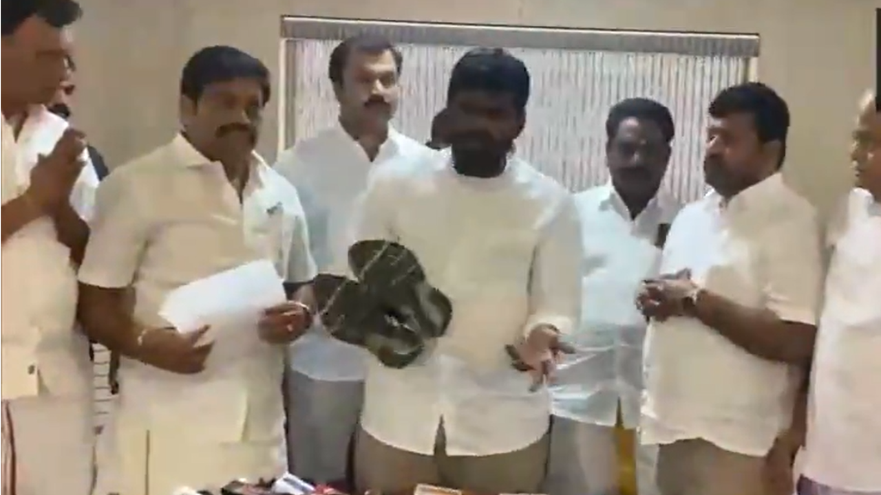 ‘Whip 6 times, not wear shoes till …’: Annamalai’s dramatic protest against DMK