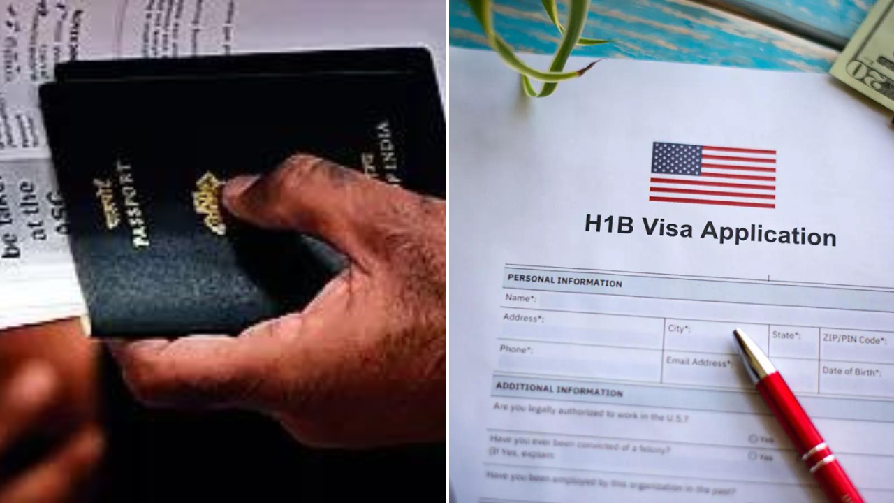 Govt on alert over H-1B row, taking feedback from IT firms