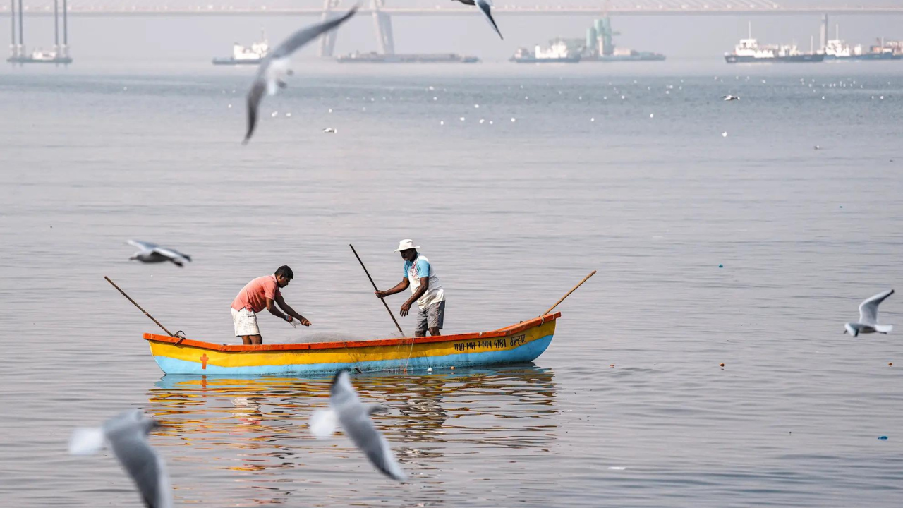 Mumbai fog spreads to sea, pushes fish to warmer waters 200 km away