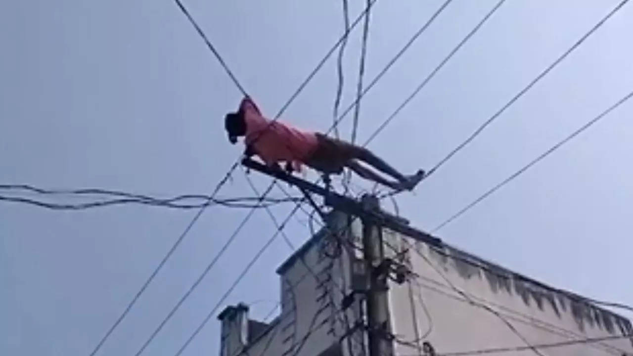 Watch: Drunk man climbs electric pole, lies on electric wires in AP