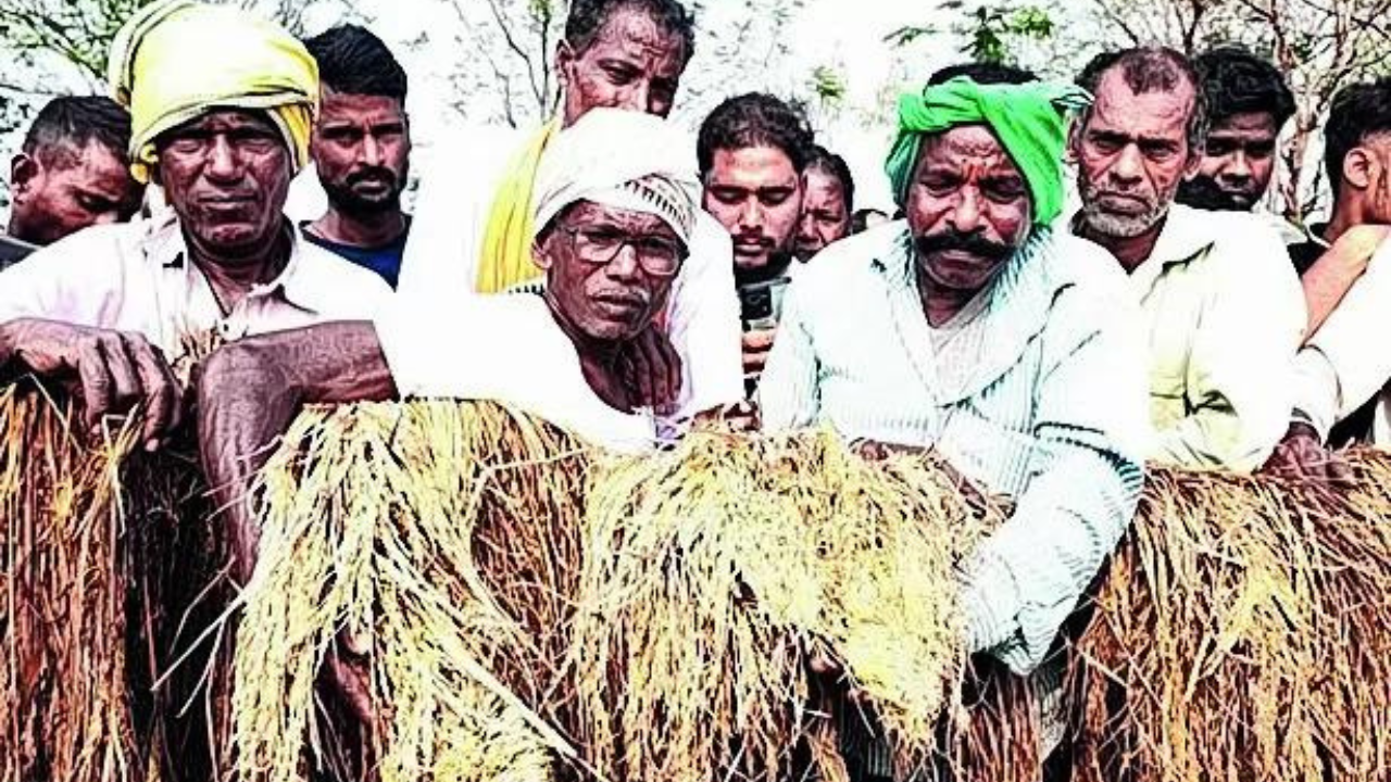 SC on MSP PIL: ‘Why can’t govt tell farmers its doors are open for talks?’