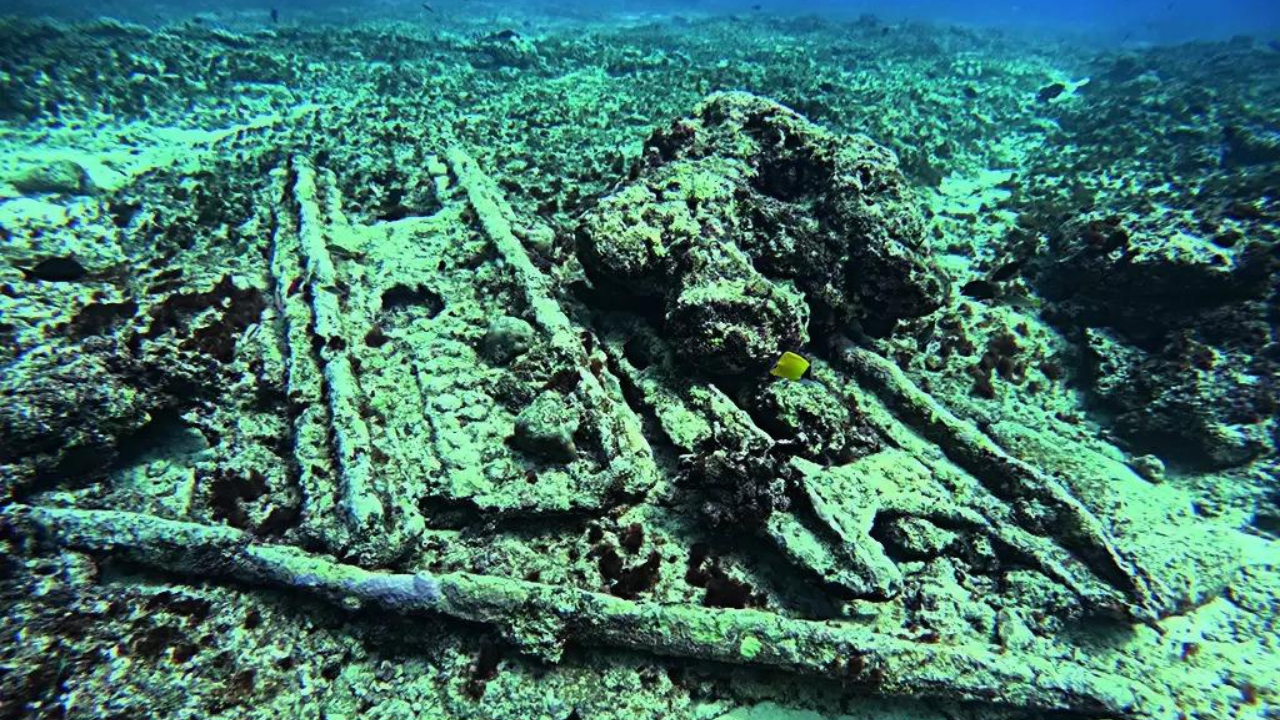 Lakshadweep divers bump into wreck of centuries-old warship