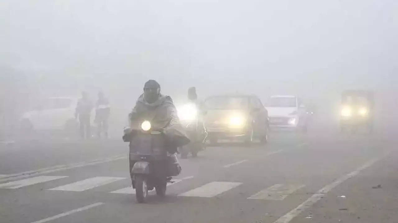 Zero visibility at 5 Punjab, Haryana cities; plains colder than Shimla