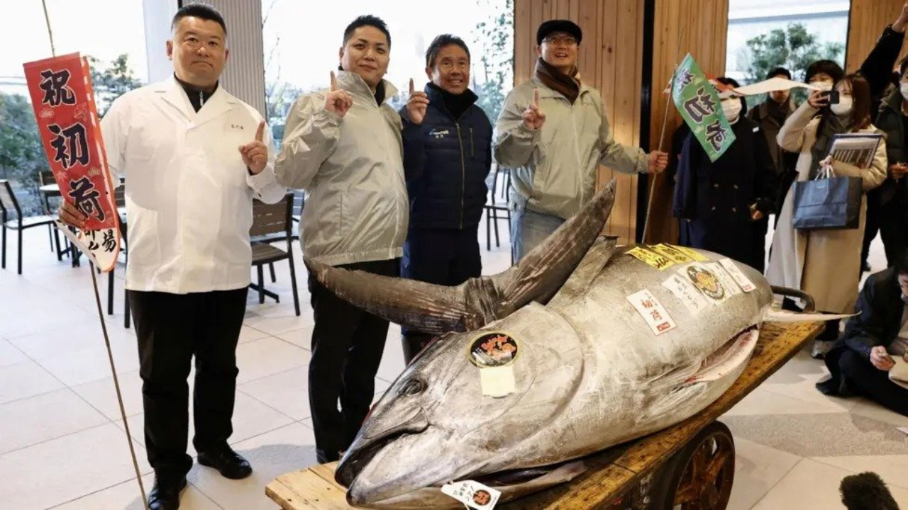 Japan: Tuna ‘as fat as a cow’ sells for $1.3 million