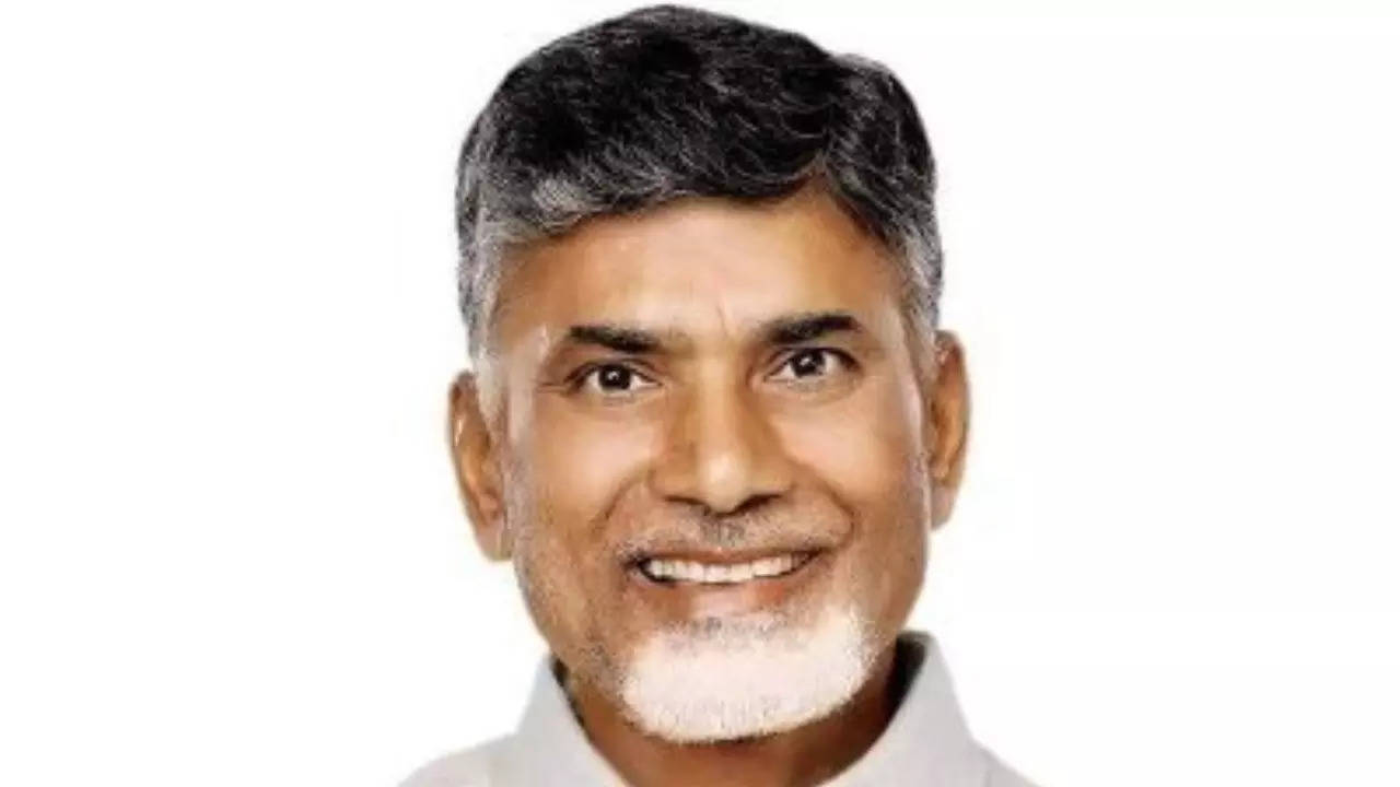 Andhra Pradesh CM Naidu again rakes up declining birthrates issue