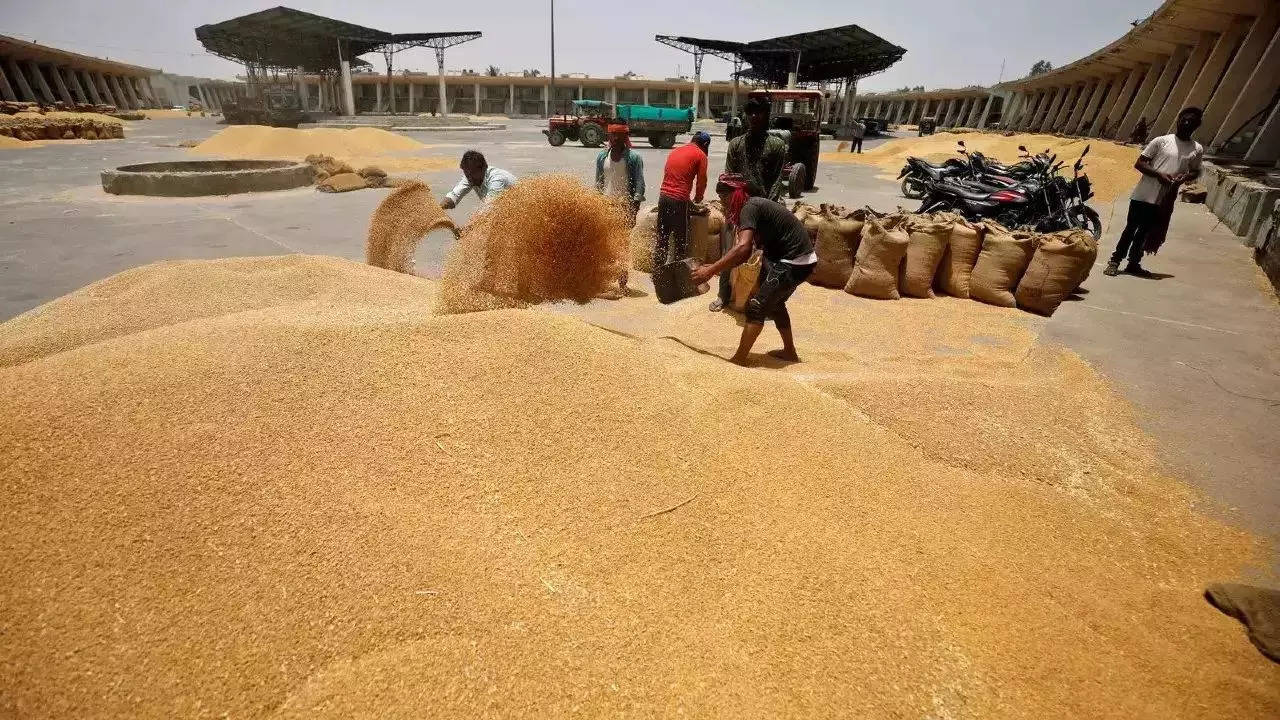 Foodgrains that could have fed entire MP for a month rot away in govt warehouses