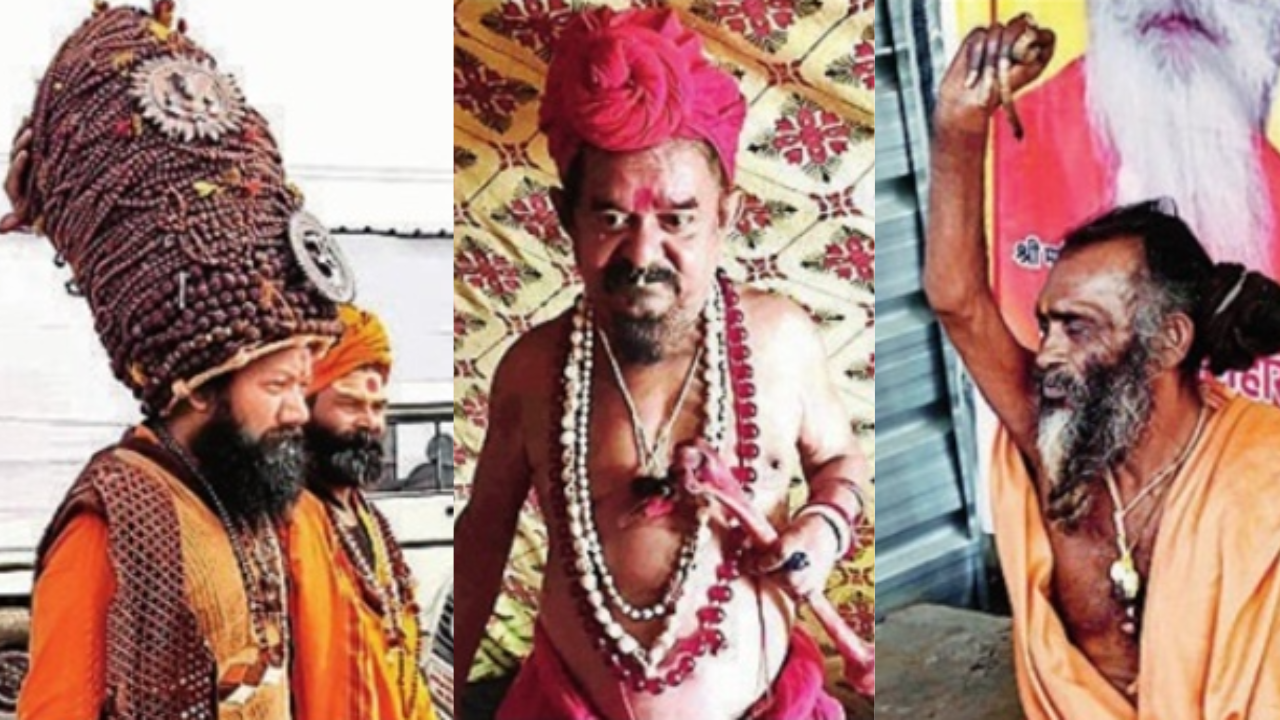 ‘Unbathed for 3 decades, arm raised for 14 yrs’: Before Kumbh, unusual ascetics create buzz