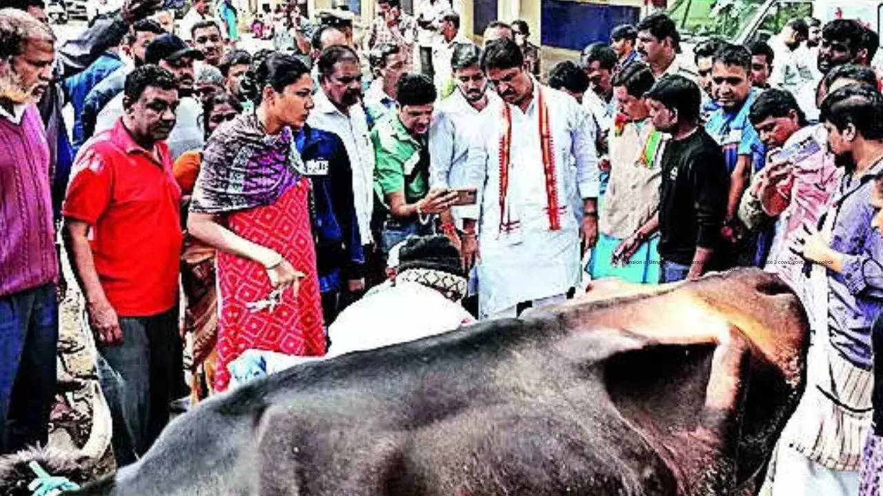 Tension in Bengaluru’s Chamarajapet after miscreants mutilate 3 cows