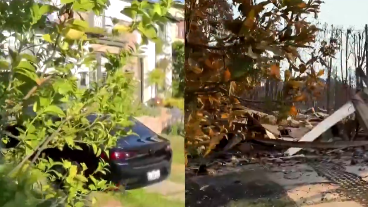 Watch: Before and after videos of Pacific Palisades show wildfire destruction