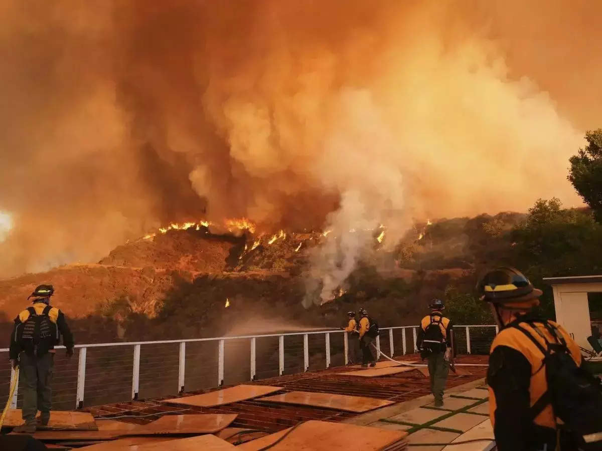 LA wildfires claim 24 lives, wealthy hire private firefighters for $2k/hour