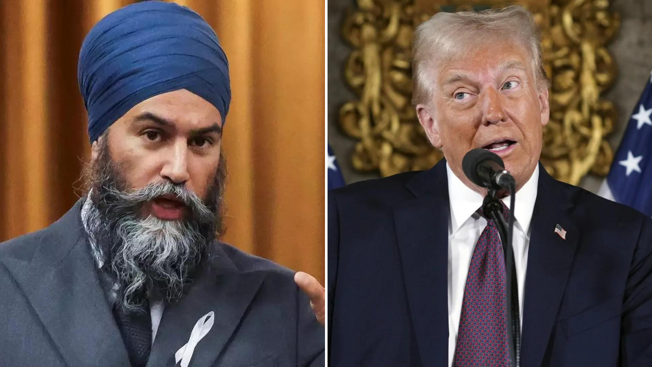 ‘Ban flow of critical minerals’: Ex-Trudeau ally responds to threats by ‘bully’ Trump