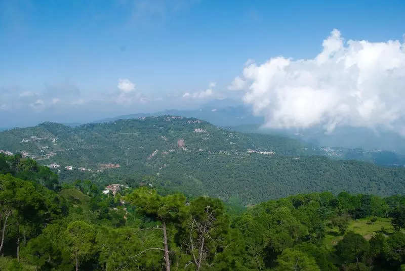 FIR in Kasauli hotel rape case names Haryana BJP chief, singer