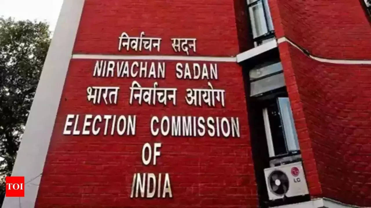 Delhi polls: EC tells parties to label AI-generated campaign content